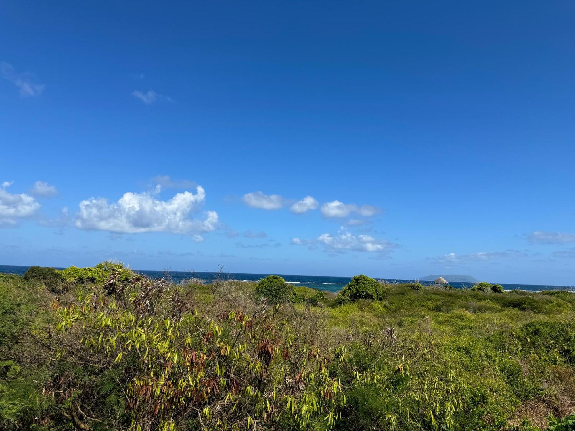 Maison Bord De A 100 M Hébergement de vacances Saint-Francois (Grande-Terre)