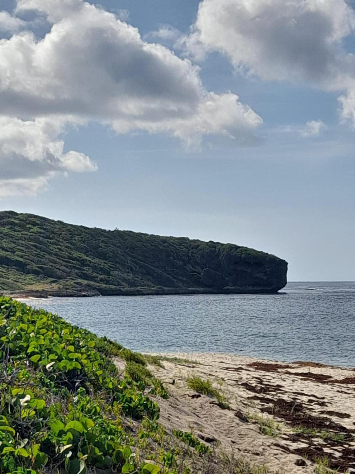 Maison Bord De A 100 M Hébergement de vacances Saint-Francois (Grande-Terre)